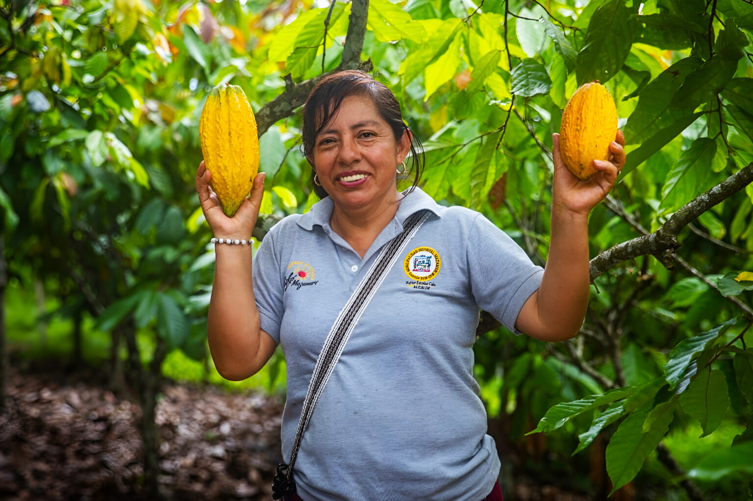 Capacitación Cacao Pochari